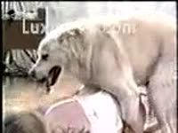 Zoo Porn Movie - Sexy blond in white underware bows over for golden retriever
